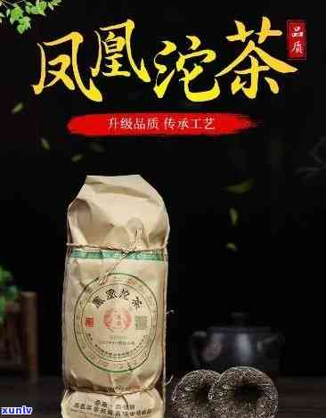 下关沱茶与凤凰沱茶-下关沱茶与凤凰沱茶对比