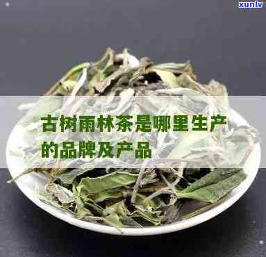 雨林古树茶：品种揭秘