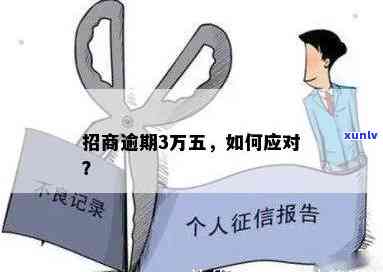 招商逾期3万五，关键提醒：招商逾期3万五，及时解决避免作用信用记录！