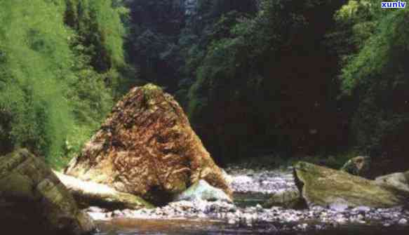 冷水河自然保护区游玩攻略，【深度解析】冷水河自然保护区游玩攻略，带你领略大自然的鬼斧神工