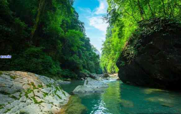 冷水河自然保护区游玩攻略，【深度解析】冷水河自然保护区游玩攻略，带你领略大自然的鬼斧神工