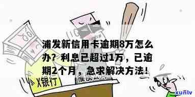 浦发银行逾期了8万多利息还不起怎么办，信用卡逾期8万多，利息无法偿还，该怎样解决？