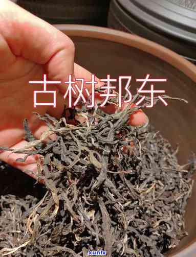 邦东古树茶怎样保存，如何妥善保存邦东古树茶？全方位指南