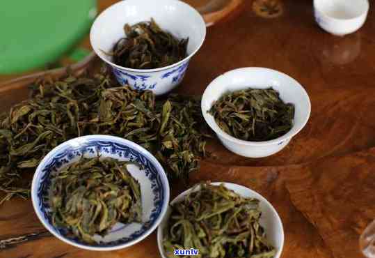 邦东古树茶怎样保存，如何妥善保存邦东古树茶？全方位指南