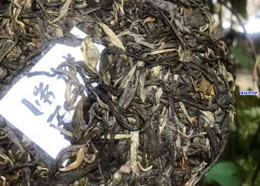 邦东古树茶：生茶还是熟茶？探讨其特点与优劣