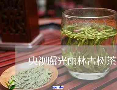 央视曝光雨林古树茶-央视曝光雨林古树茶的视频