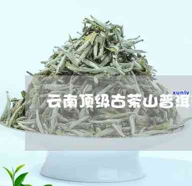 纸山箐古树茶价格是多少？属于什么等级？