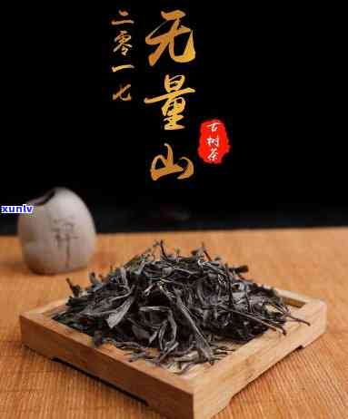 无量山有哪些古树茶名字，探寻无量山的古树茶之名，品味千年历韵味