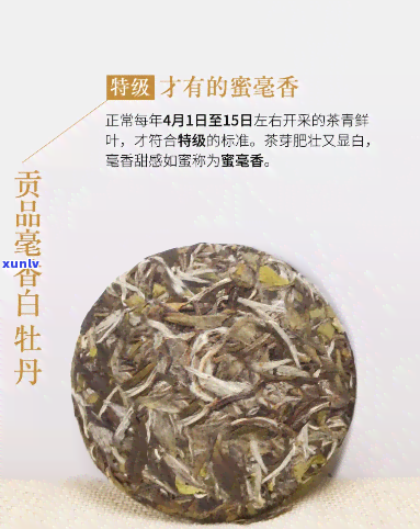 龙普世家福鼎白茶，品味尊贵，享受健：龙普世家福鼎白茶的魅力探索