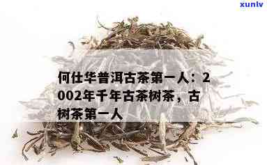 何仕华千年古树茶价格，千年古树茶：探索何仕华的价格与价值