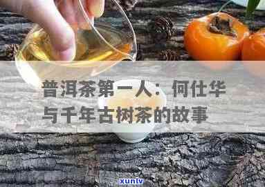 2000何仕华千年古树茶，探索千年古树茶的秘密：2000何仕华的传说与故事