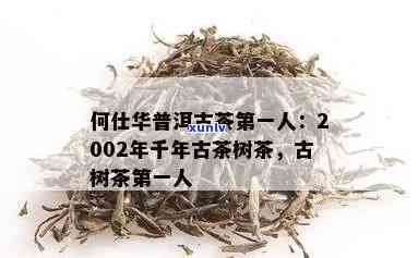 何仕华千年古树茶茶-何仕华千年古树茶介绍