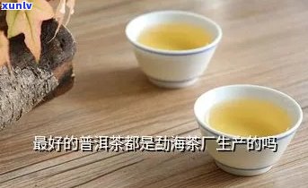 西双版纳海茶厂，探索云南西双版纳的特色茶叶：海茶厂的魅力