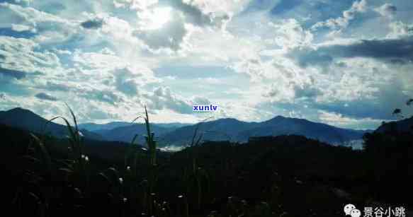 景谷县苦竹山，探秘云南景谷县苦竹山：神秘的原始森林和丰富生物多样性