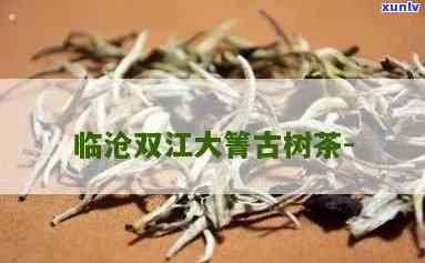 临沧双江大箐古树茶-临沧双江大箐古树茶价格表