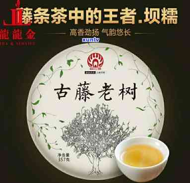 西双版纳秘境古树茶-西双版纳珍藏馆古树茶