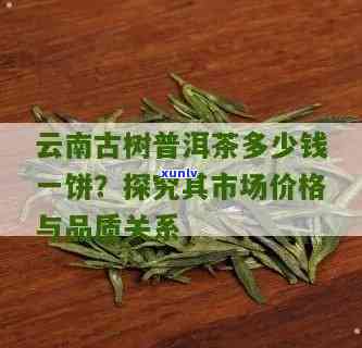 云南临沧古树茶饼价格，《探寻云南临沧古树茶的魅力：饼状茶叶的价格解析》