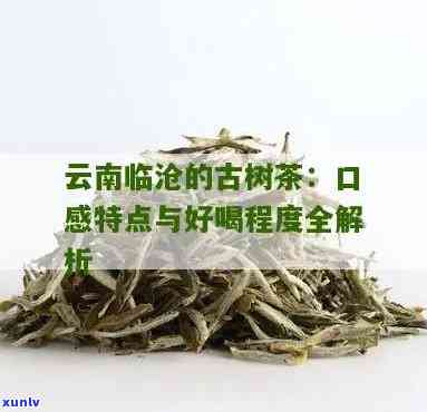 云南临沧云县古树茶-临沧云县古树茶的特点