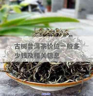 县古树茶价格及数量查询