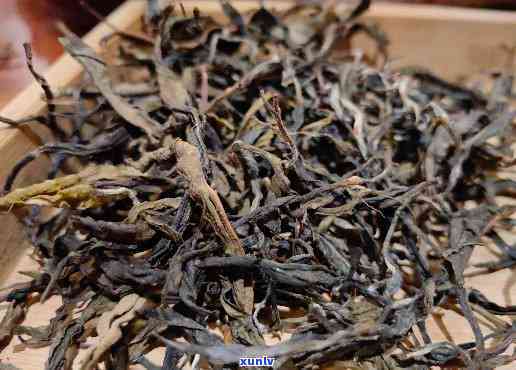 邦威单株古树茶价格：古茶王与普通茶的价格比较