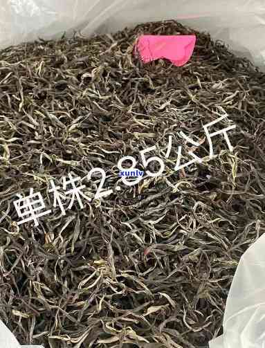 邦威单株古树茶价格：古茶王与普通茶的价格比较