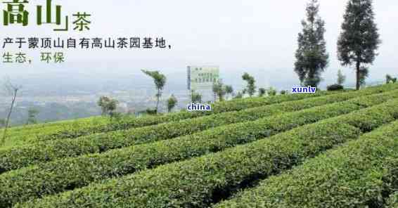 高贡山生态茶：优质茶叶生产商的价格介绍