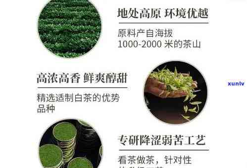 高贡山生态茶：优质茶叶生产商的价格介绍