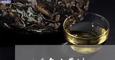 三千二个百年古树茶-三千多年的古树茶