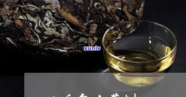 3000年的古树茶-3000年古树茶多少钱一斤