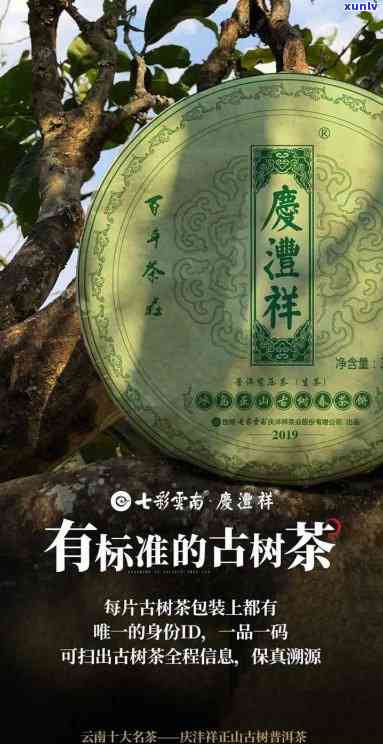 央视曝光云南古树茶-央视曝光云南古树茶是真的吗