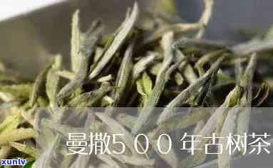 曼撒500年古树茶-曼撒古树茶价格