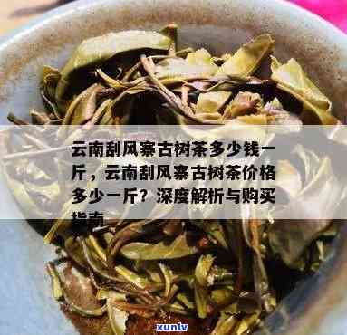 刮风寨白沙河古树茶的价格，揭秘刮风寨白沙河古树茶价格，深度解析其价值所在