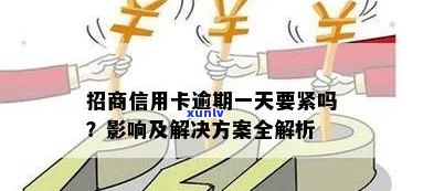 招商逾期一天有什么作用，招商逾期一天：作用解析与应对策略