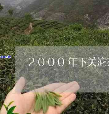 2000年下关沱茶-2000年下关沱茶价格