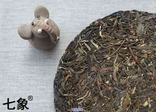 弯古树茶多少一饼-弯古树茶多少钱一斤