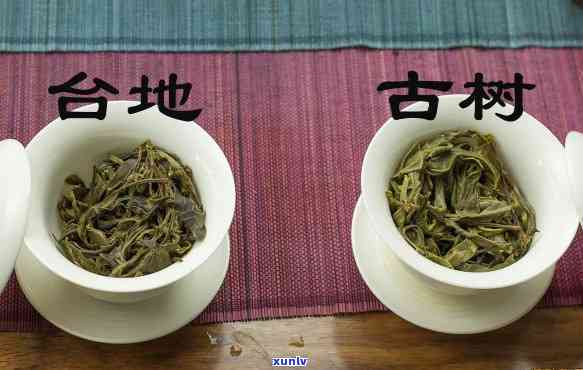 古树茶和台地茶区别大吗，深度解析：古树茶与台地茶的区别究竟有多大？