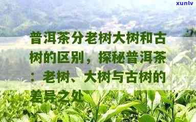 信用卡逾期记录清除时间：了解所有相关信息，以便更有效地解决逾期问题