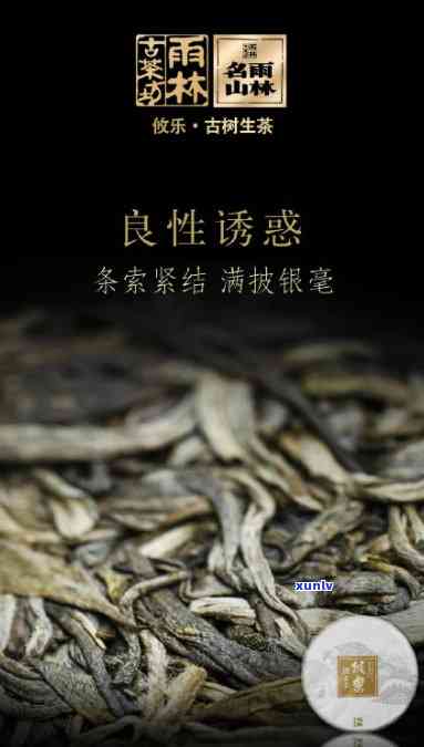 雨林古树茶农残超标-雨林古树茶农药