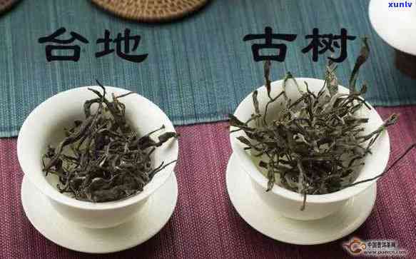 古树茶什么成分抗癌-古树茶什么成分抗癌效果好