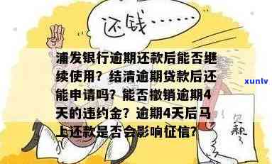 浦发银行贷款有逾期,结清后能否再次申请?