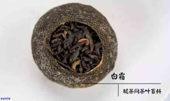 小青柑茶皮上有白色-小青柑茶皮上有白色能喝吗