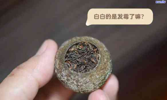 小青柑外面一层白霜能喝吗，小青柑外层白霜是否能饮用？解析茶叶表面的神秘白色物质