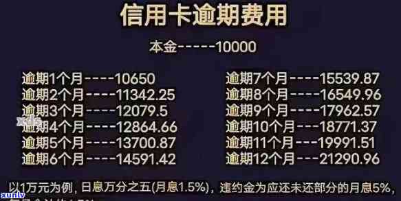 浦发逾期还款政策全解析：官网、系统一网打尽