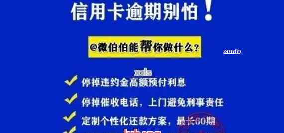 浦发逾期还款政策全解析：官网、系统一网打尽