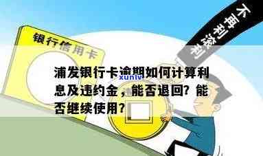 信用卡逾期账单还款查询-信用卡逾期账单还款查询怎么查