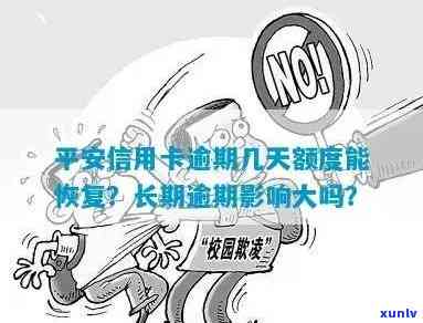 平安逾期消除服务：专业解决平安逾期疑问，快速恢复信用记录