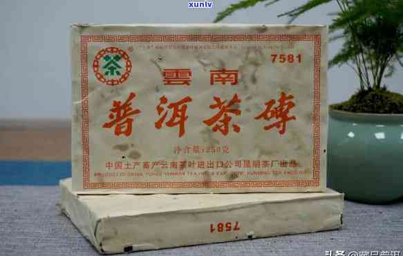 2006年经典66茶砖：06年茶砖价格与7581茶砖全解析