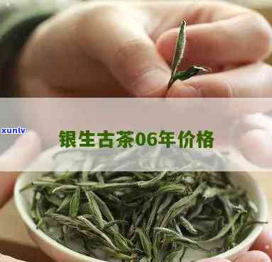 银生古茶06年价格表全览：详细信息与图片一网打尽