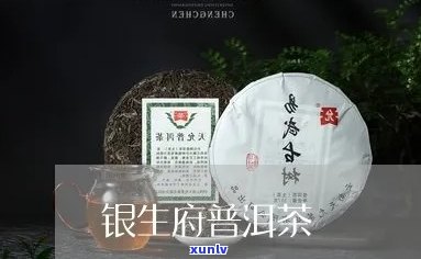 银生古茶06年价格-银生古茶06年价格多少