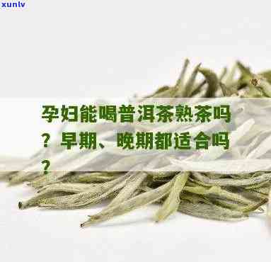 孕妇可以喝柑橘普洱茶吗？早期与孕期的相关问题解析